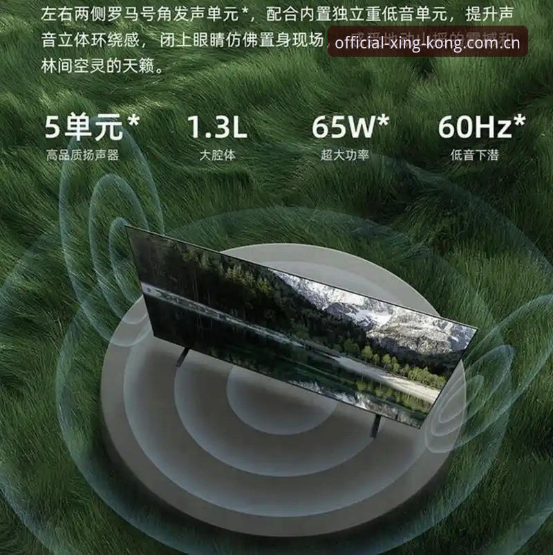星空APP下载方式 深度揭秘:星空APP下载方式背后的真相——老用户手把手教你认准正版入口
